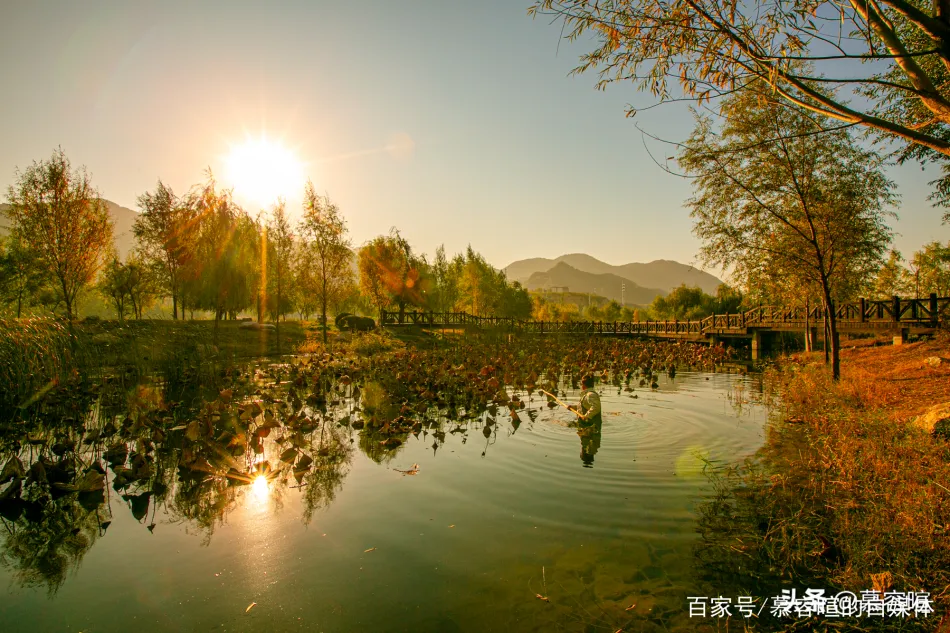 朝阳朝阳移动宽带
